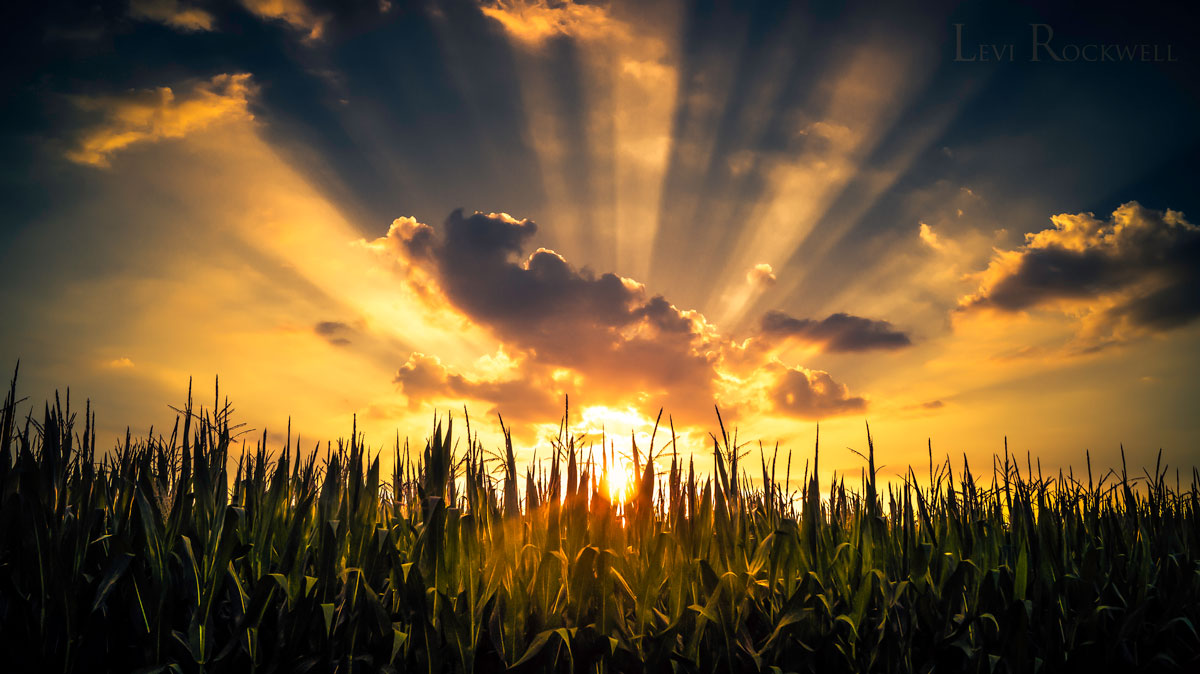 Featured image for “FC Development Corp. Partners with The Artist Evolution as Agency of Record to Amplify The Farmer’s Cow Brand Across All Divisions”